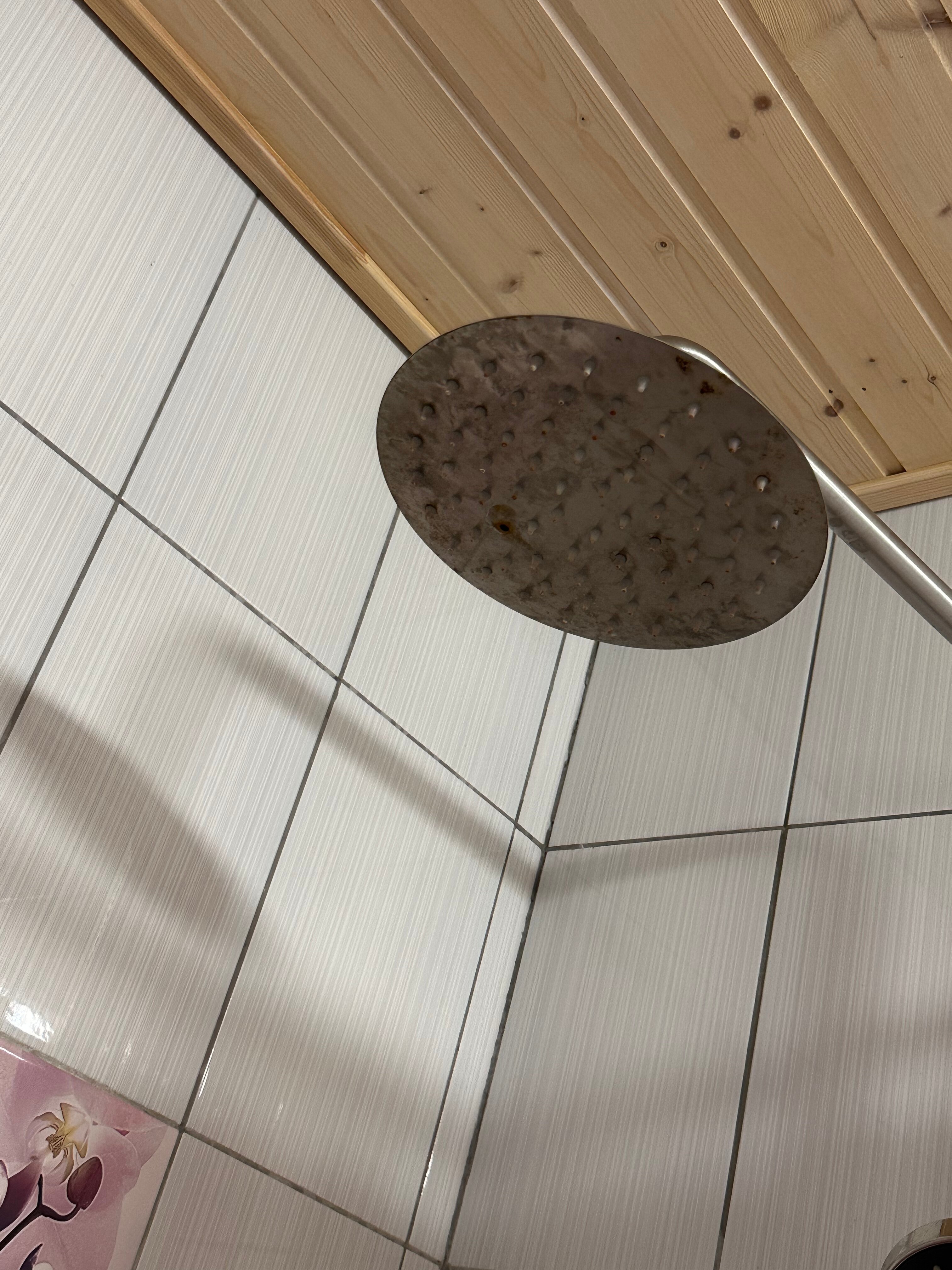 Фото Клюква