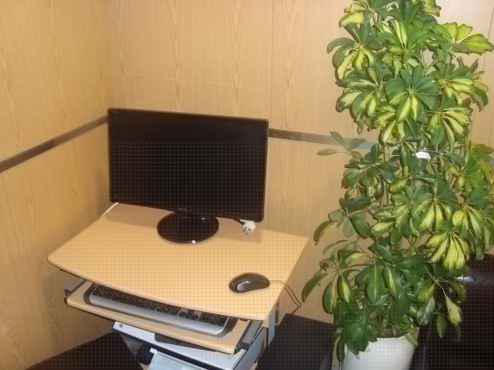 Фото Santa Clara Porto