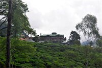 Фото Heaven Seven Nuwara Eliya