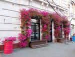 Veranda (Nekrasovskaya Street, 54), flower shop