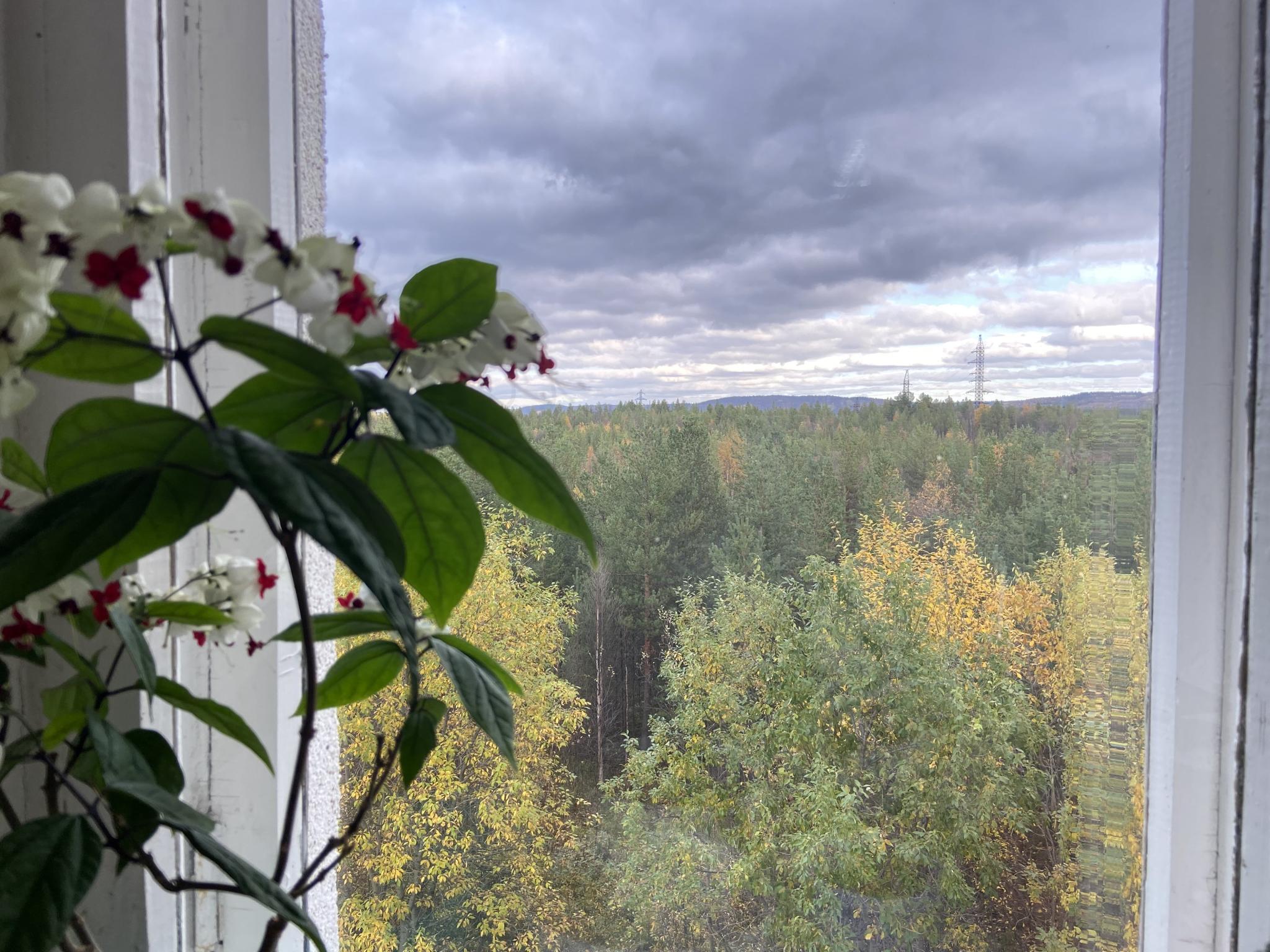 Фото Аэропорт Мурманск