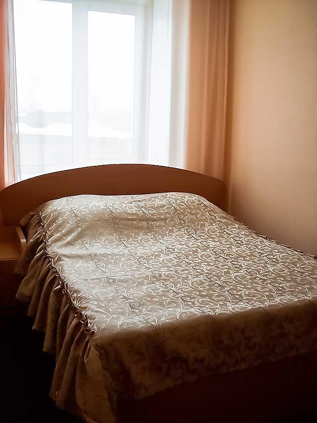 Фото Гвоздика