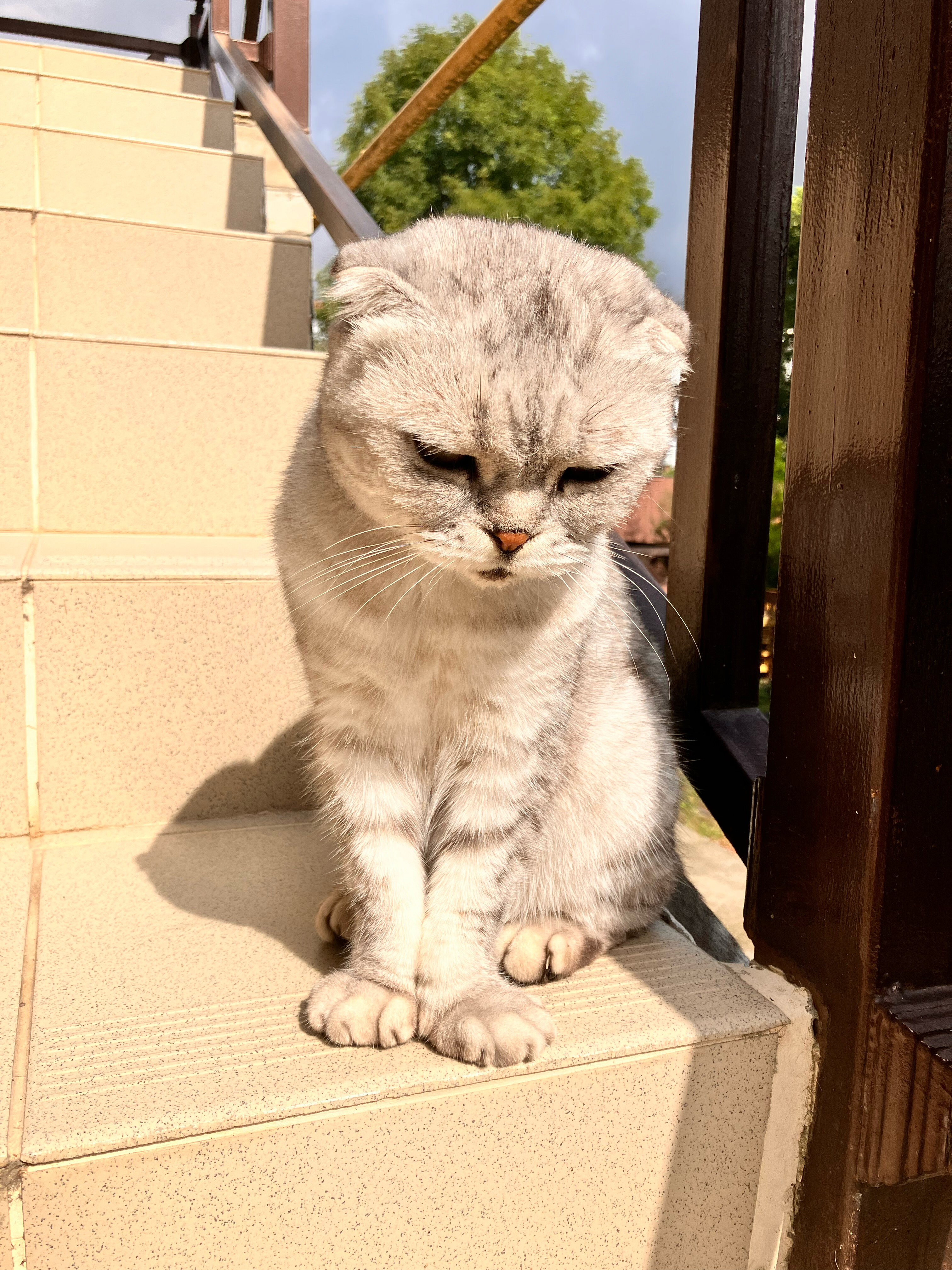 Фото Надежда