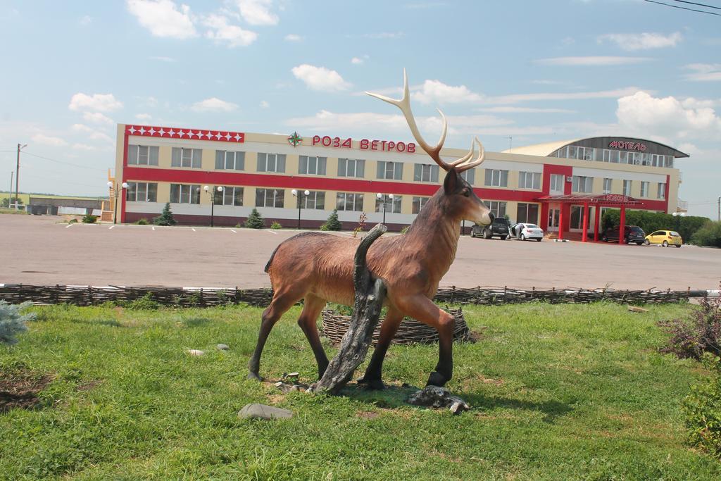 Фото Роза Ветров