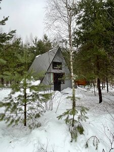 Апартаменты Избушка в лесу
