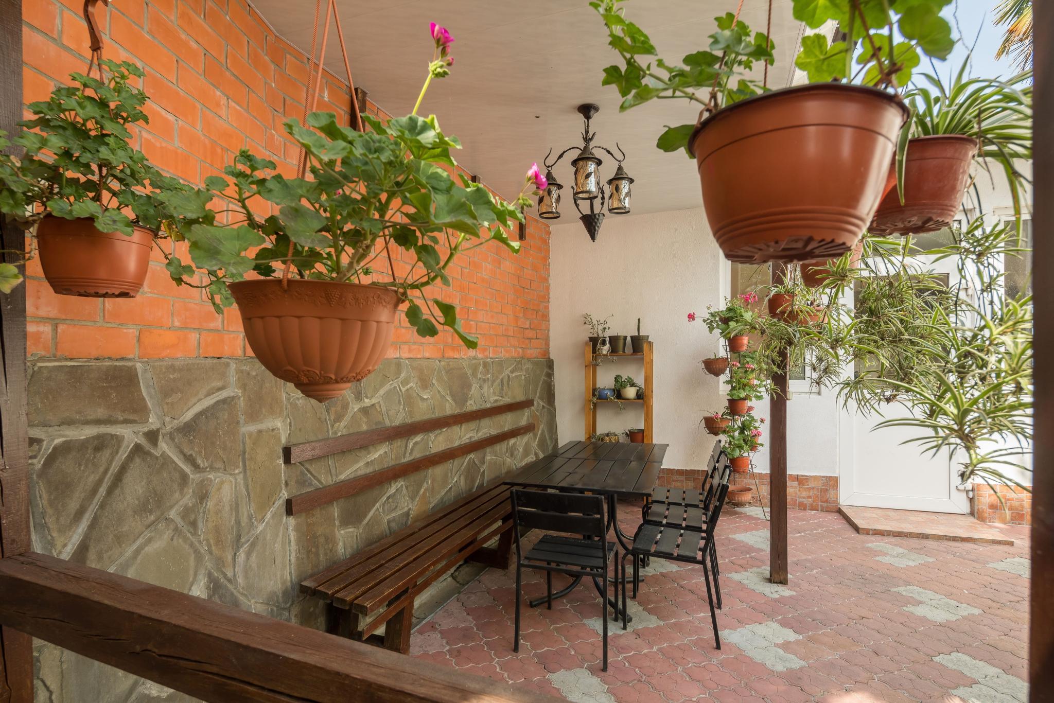 Фото Чайка Сочи