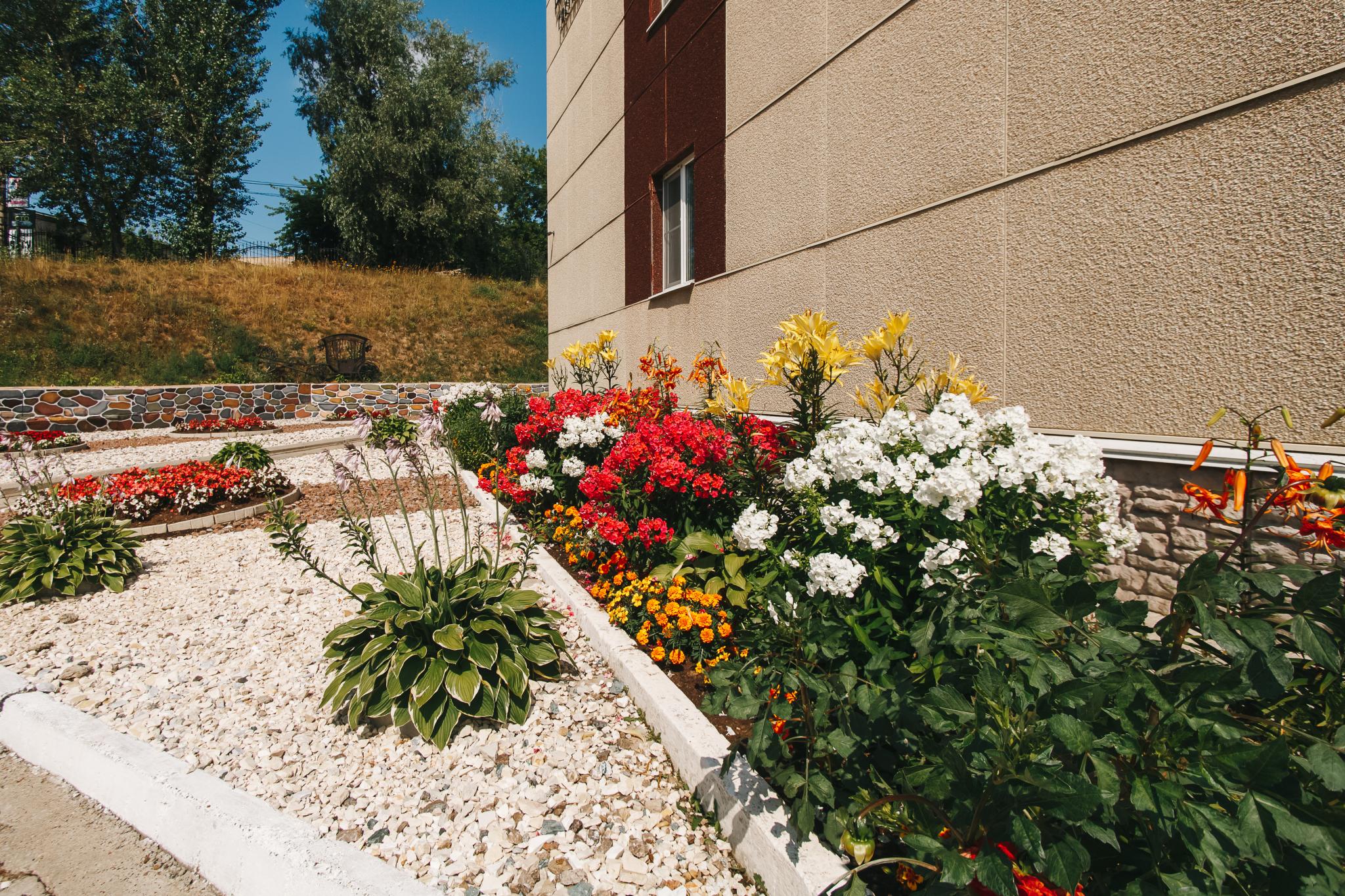 Фото Дилижанс