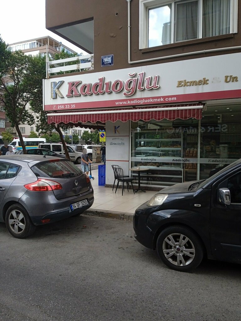 Logistics company Megatas Nakliyat, Izmir, photo