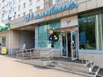 Магазин зоотоваров (Vologodskaya ulitsa, 13), pet shop