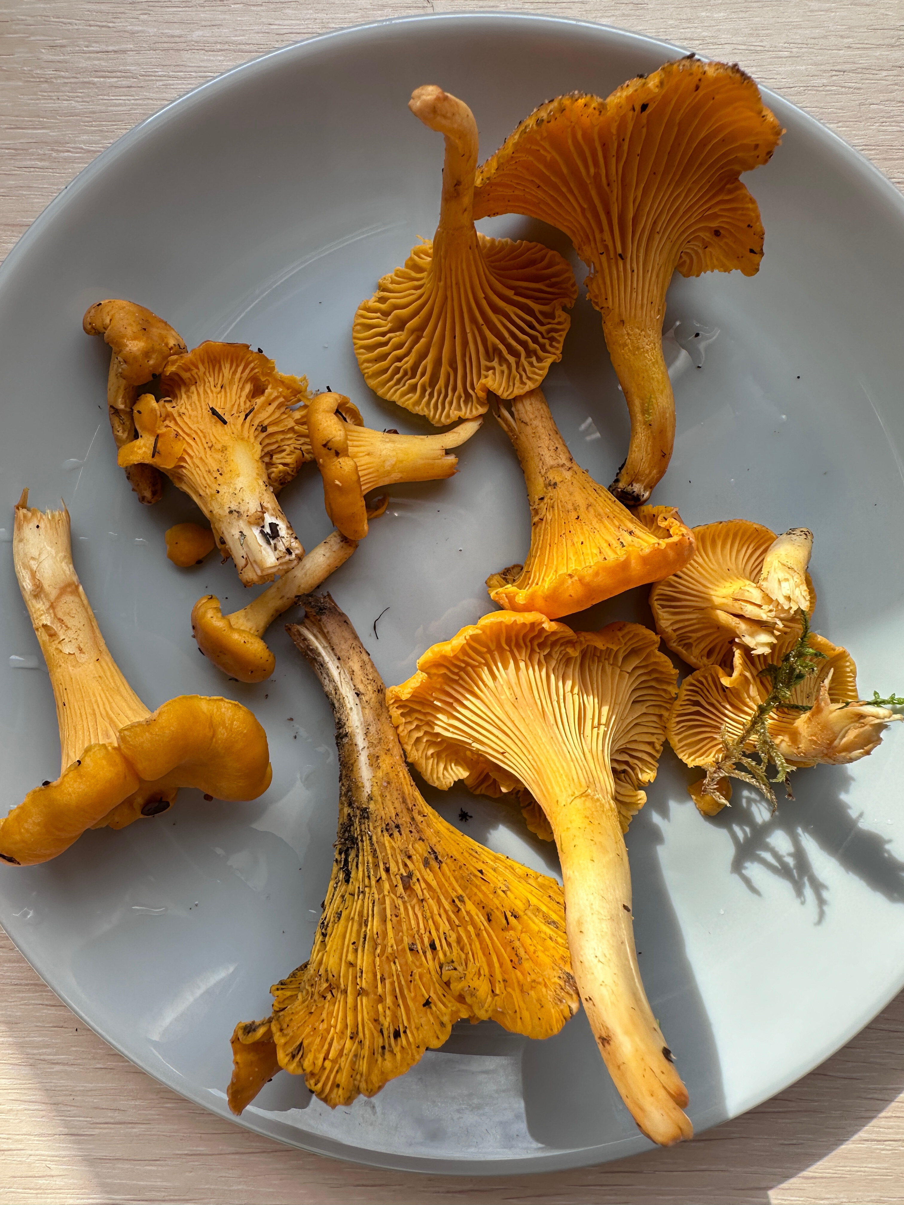 Фото Заречье