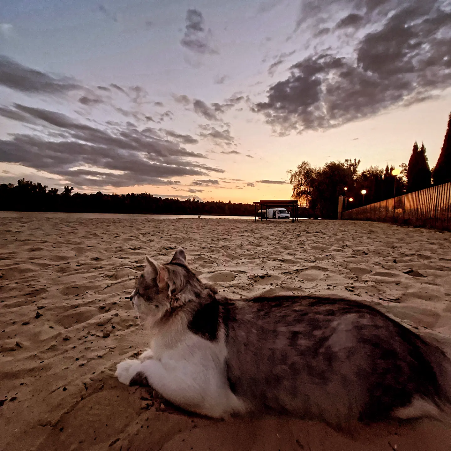Фото Петровская Застава