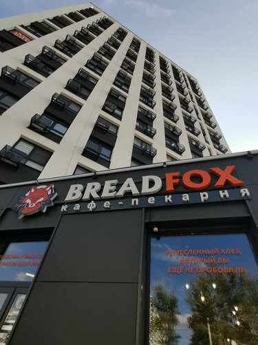 Bir toda siklar bir eshakda