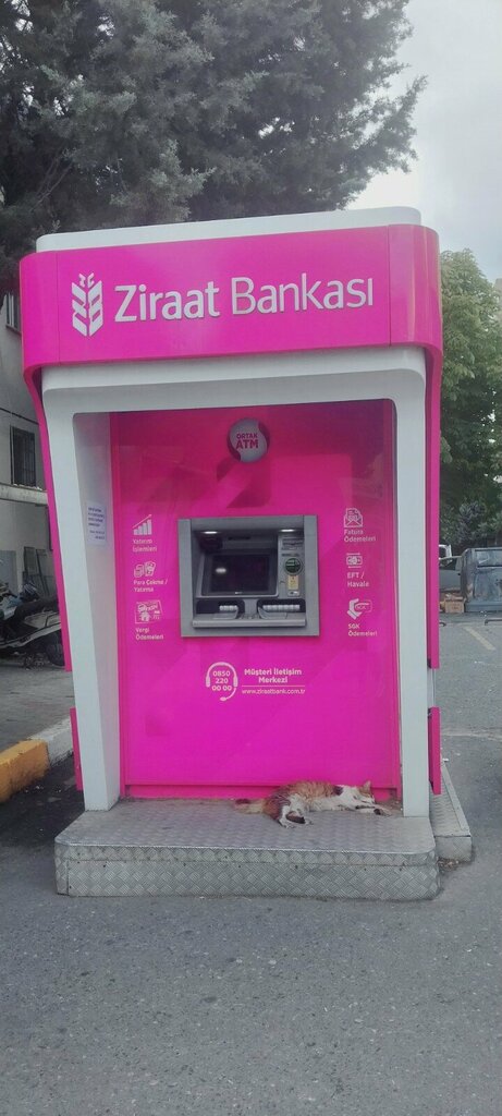 ATM Ing ATM, Istanbul, photo