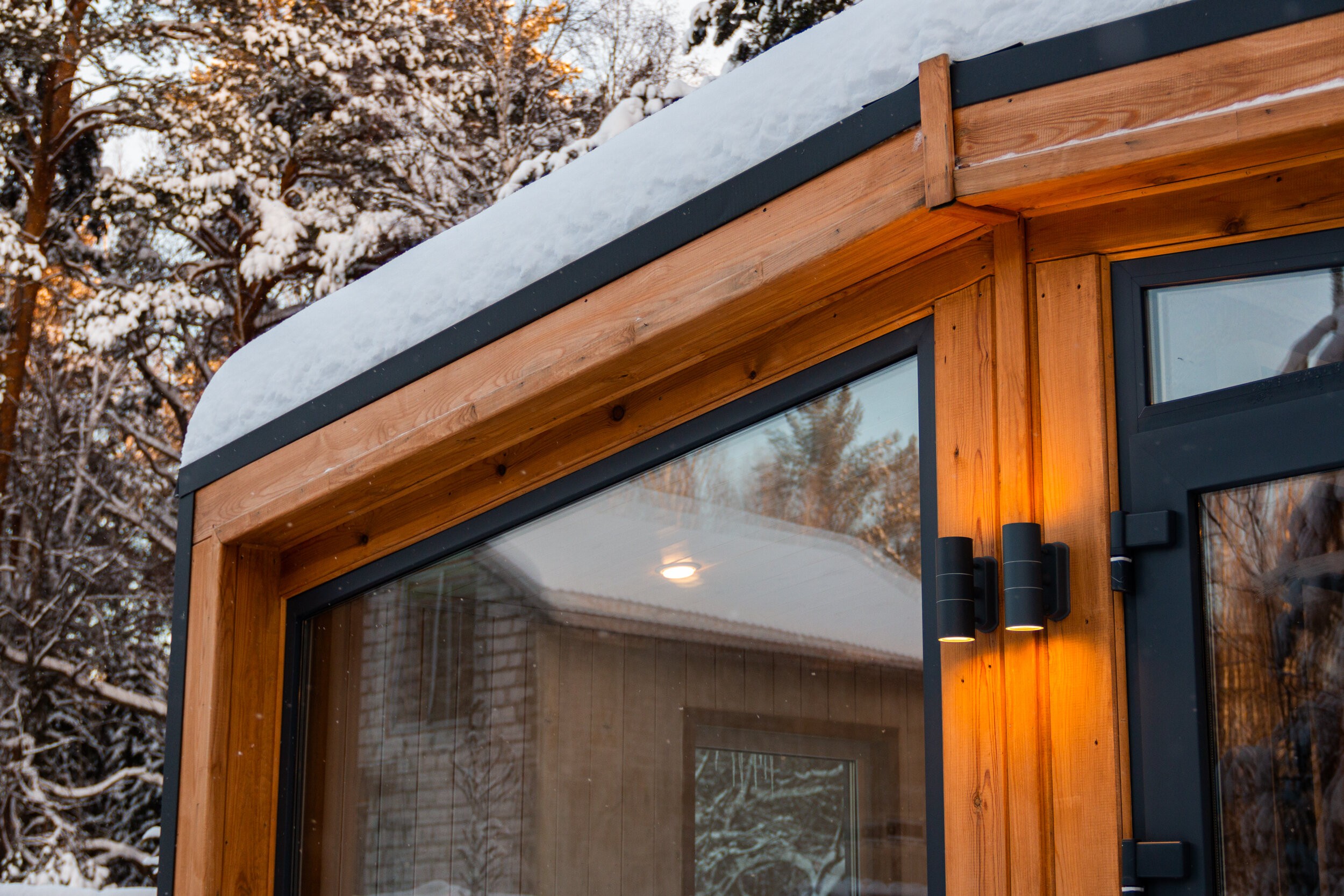 Фото На опушке