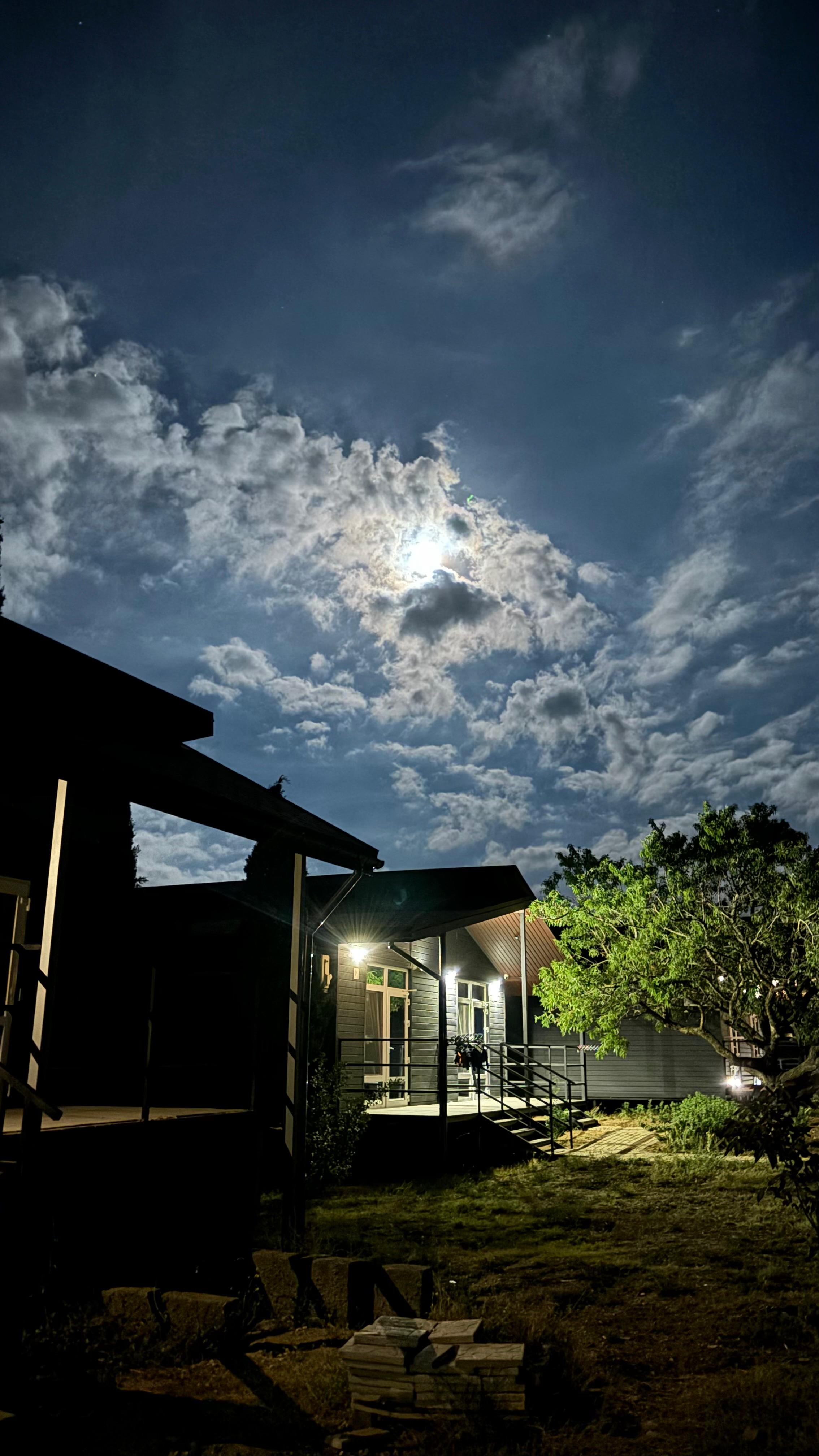 Фото Каравелла