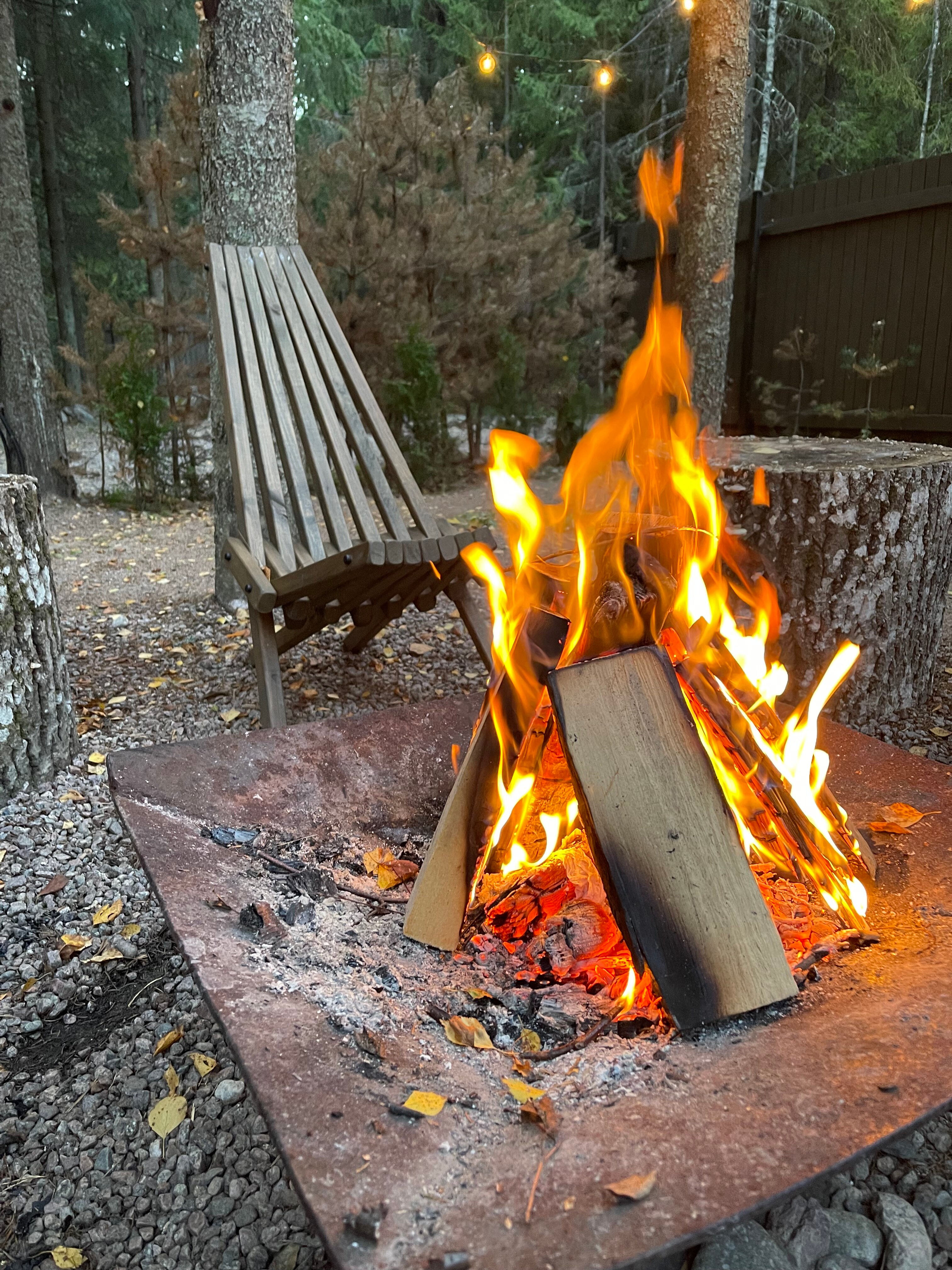 Фото Smell Of The Forest