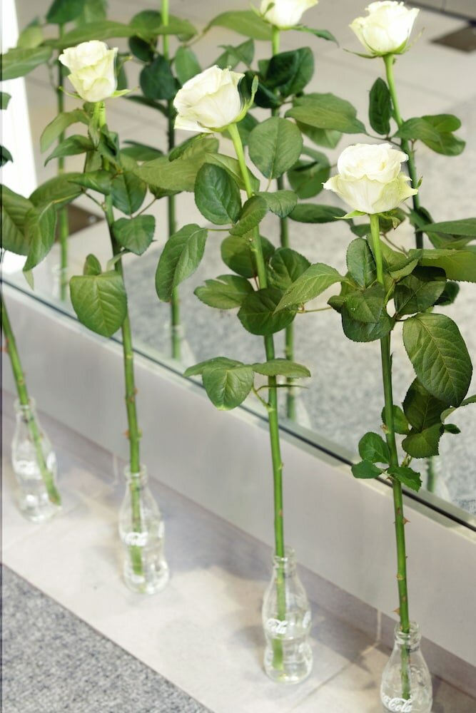 Фото Hotel Cervetta 5