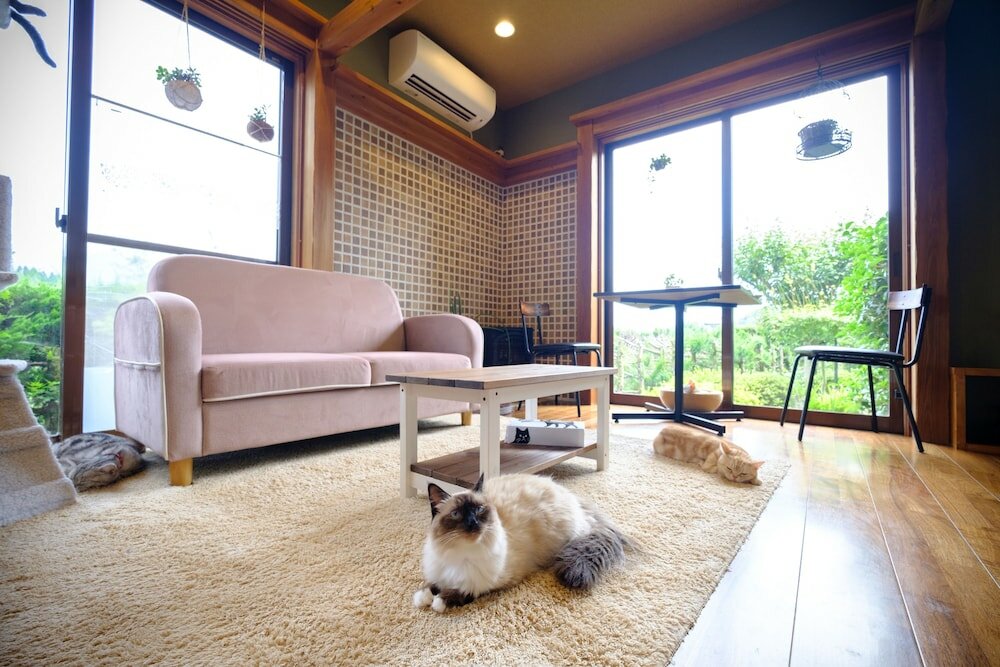 Фото Yufuin Waraneko no Yado