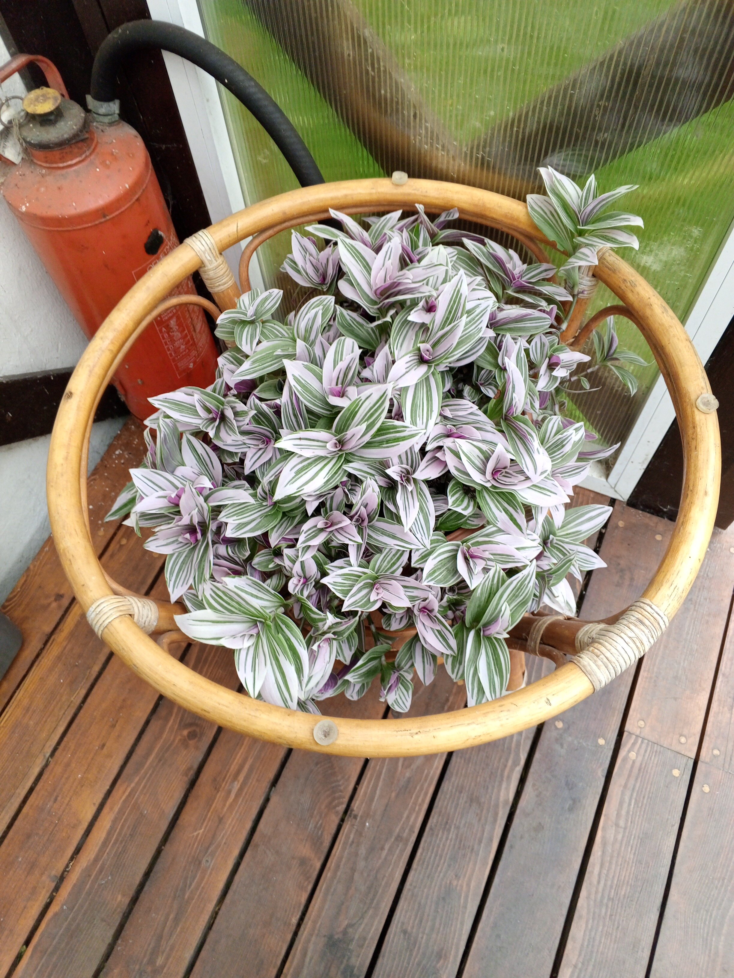 Фото Отель-коттедж Ф&Ф