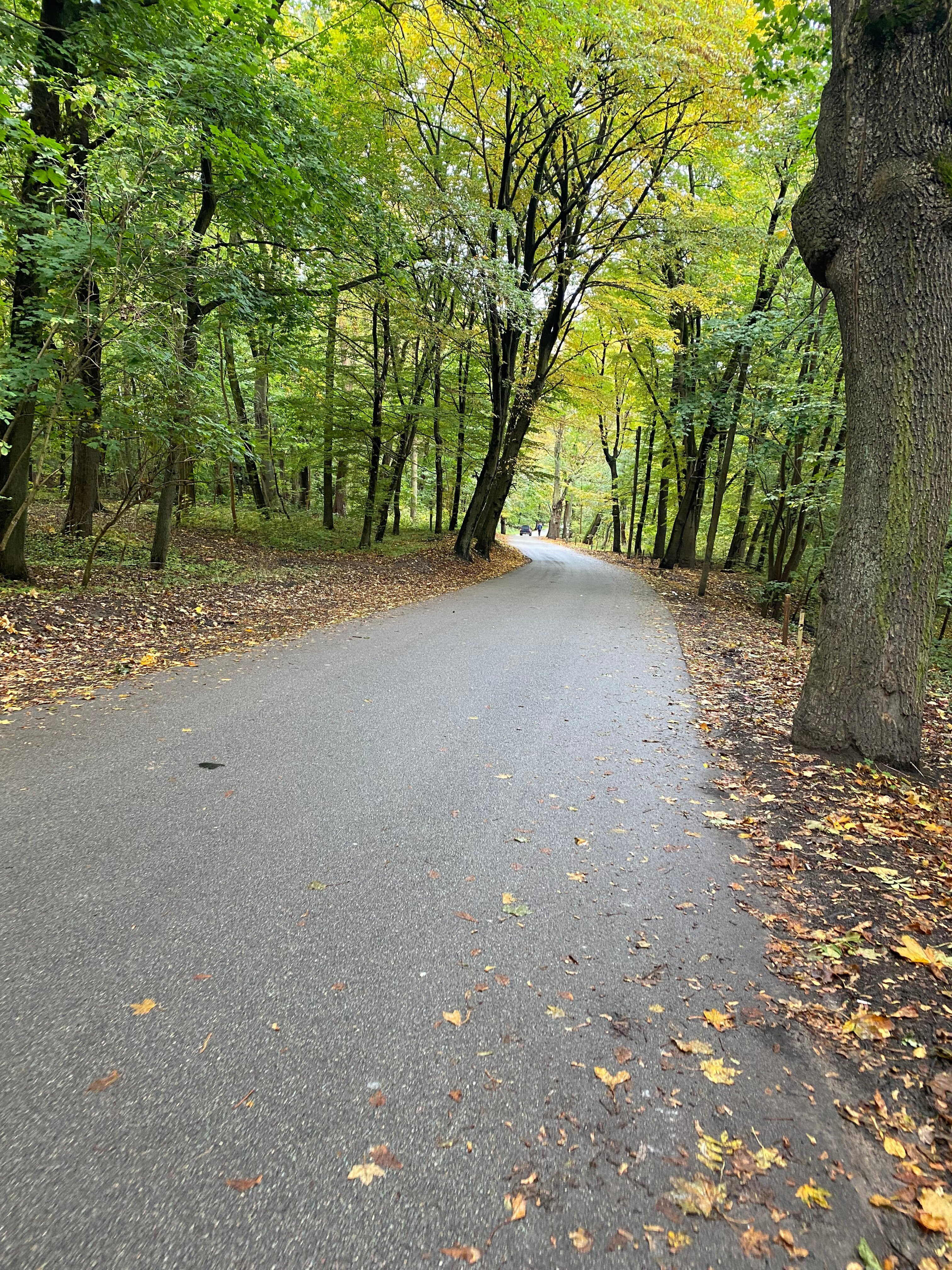 Фото Фридрихсхофф