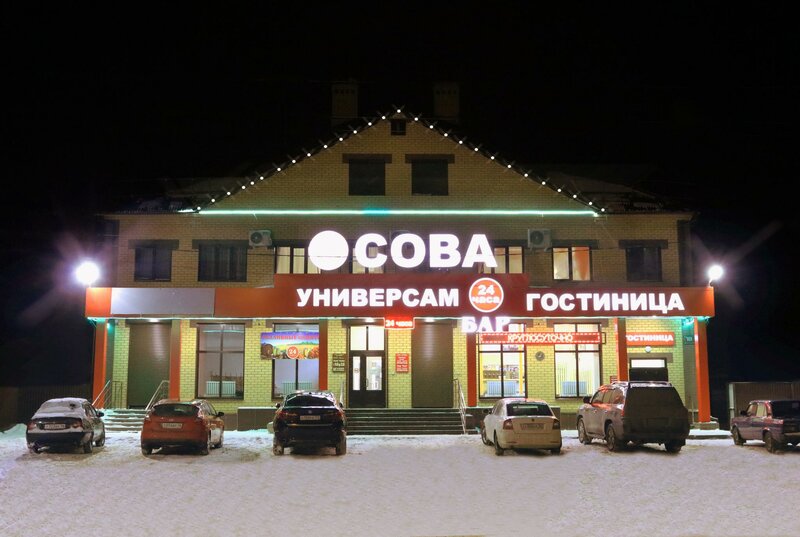 Гостиница Сова в Сорочинске