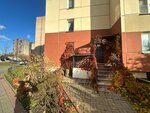 Nevskaya palitra (Yaroslava Gasheka Street, 24к1), hoa, junta directiva de snt