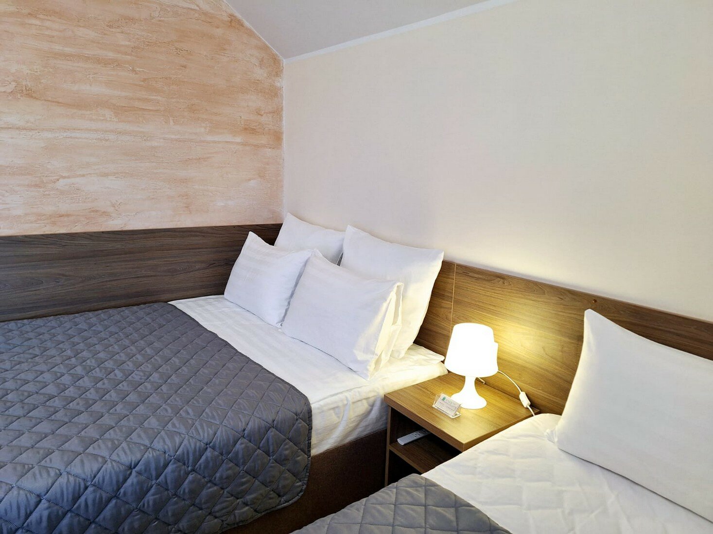 Фото Марион-1