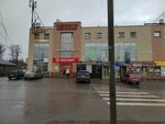 Alya flowers (prospekt Griboyedova, 4), flower shop