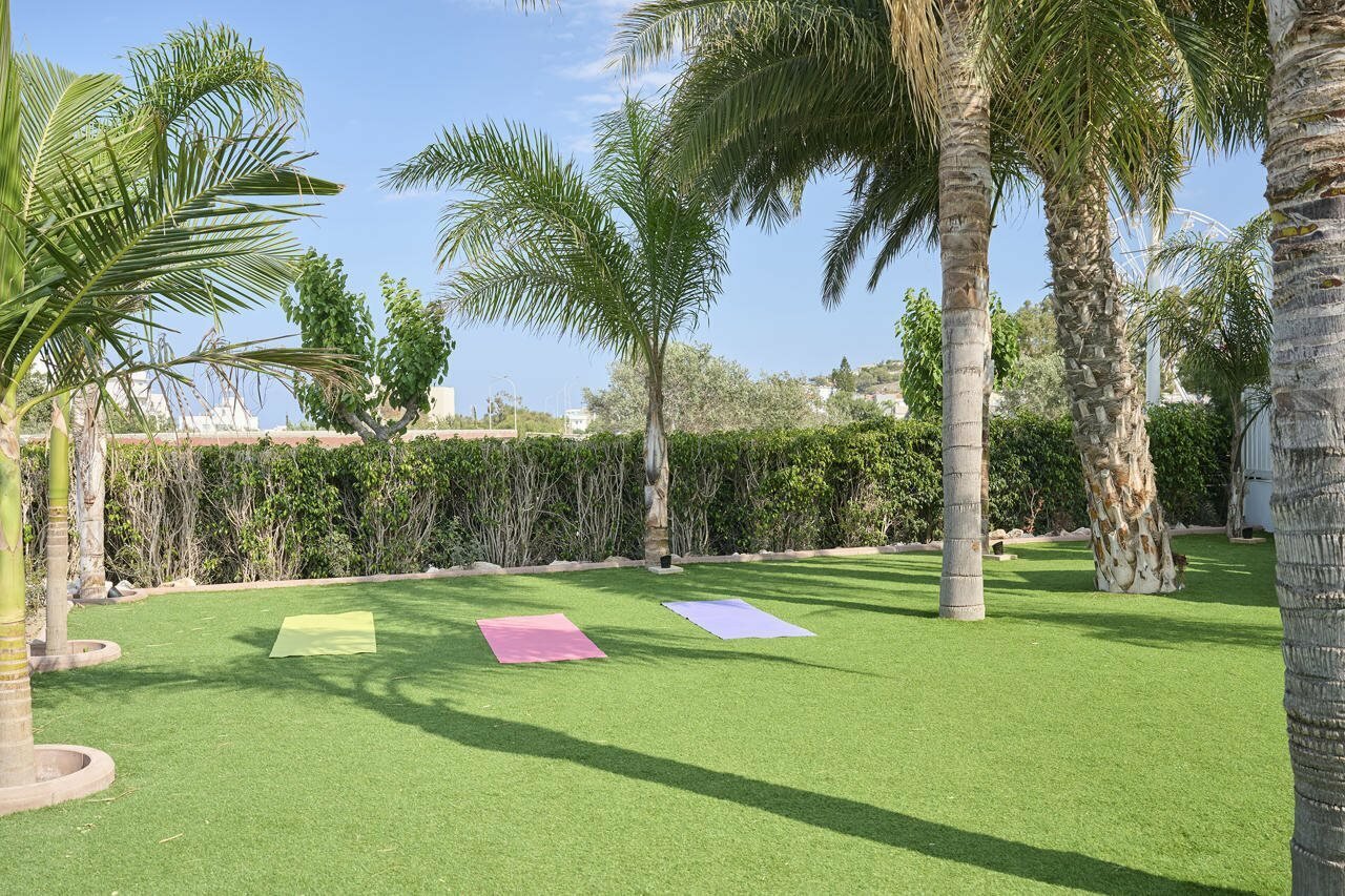 Фото Sunrise Oasis