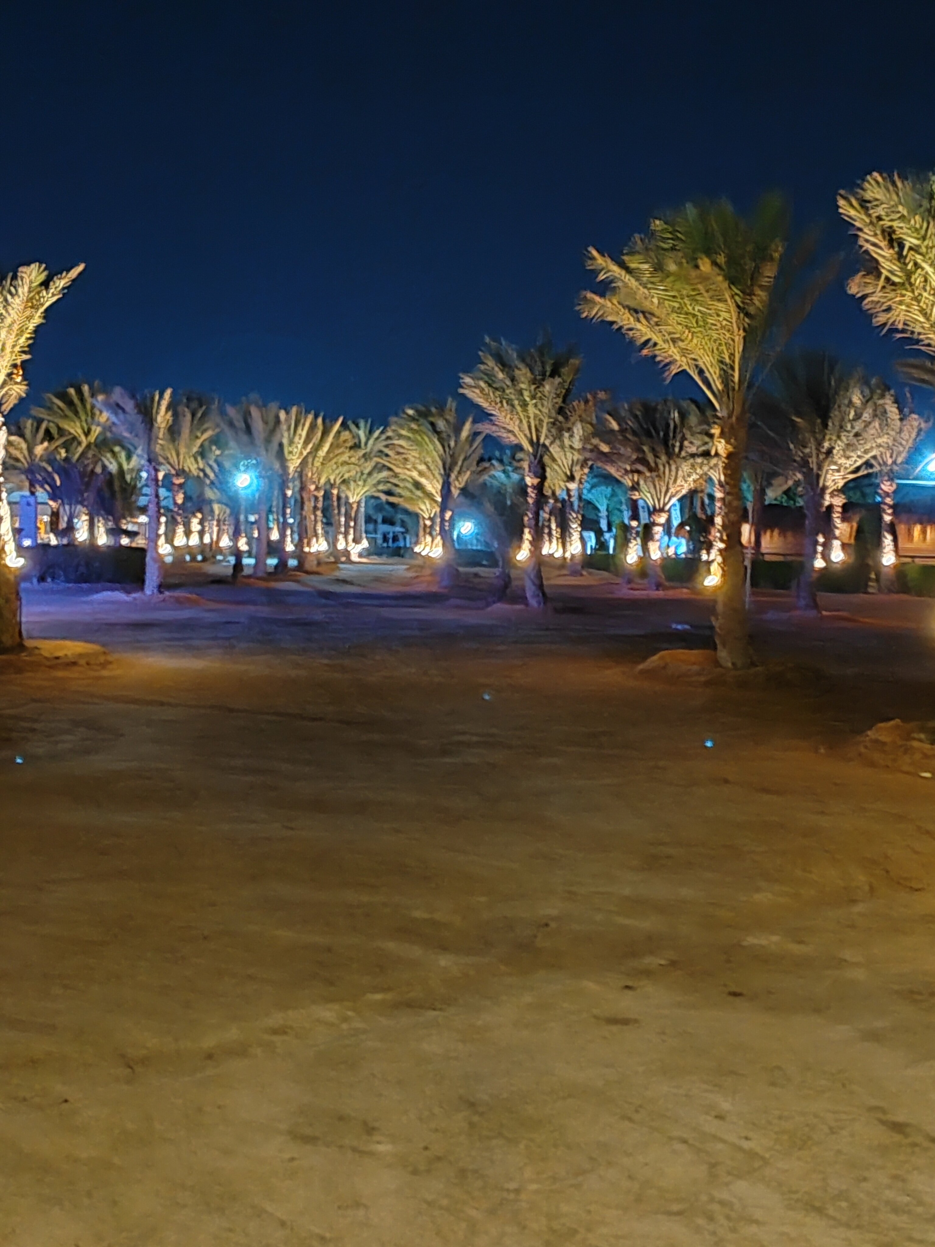 Фото Lemon & Soul Makadi Garden