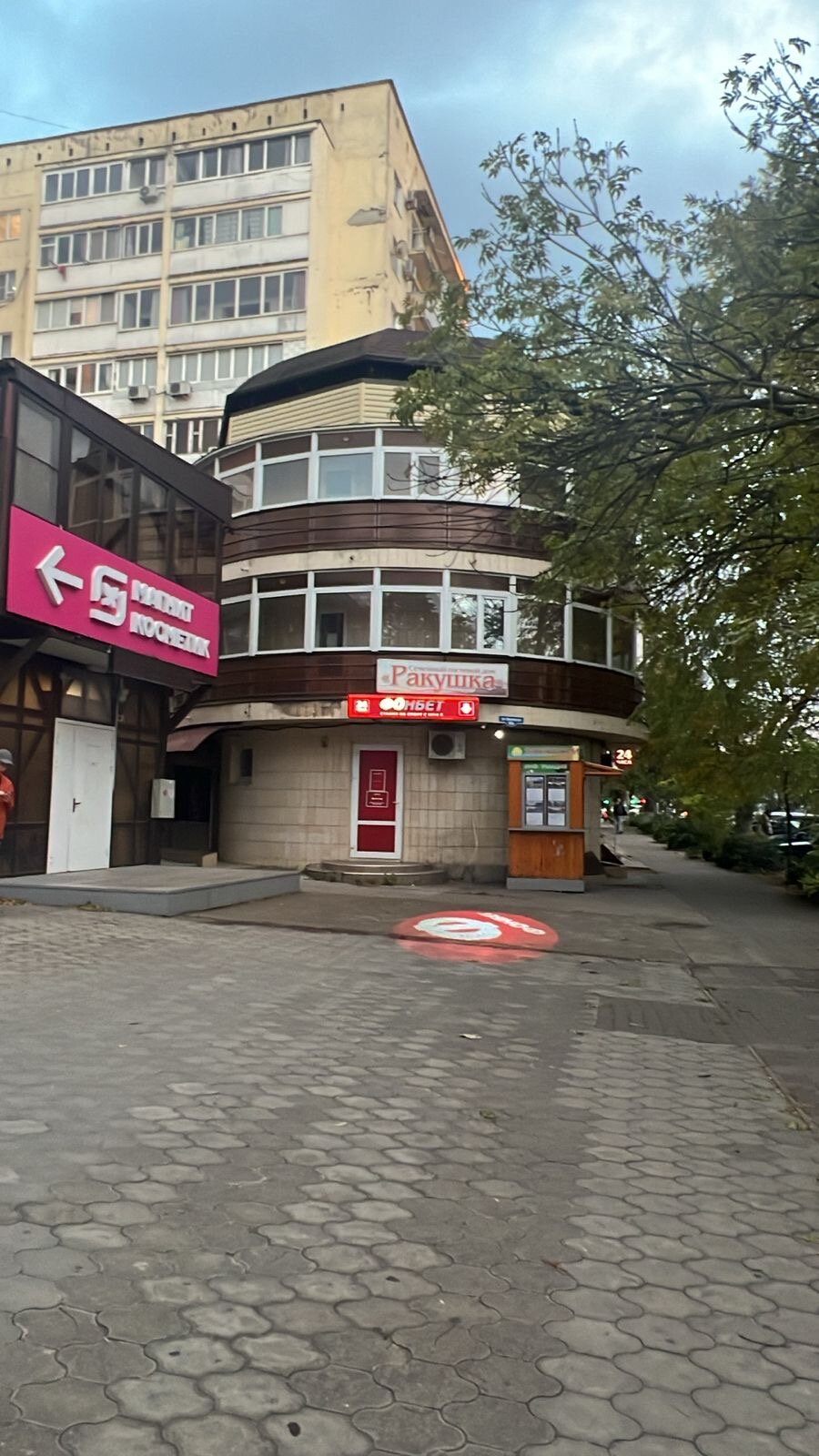 Фото Ракушка