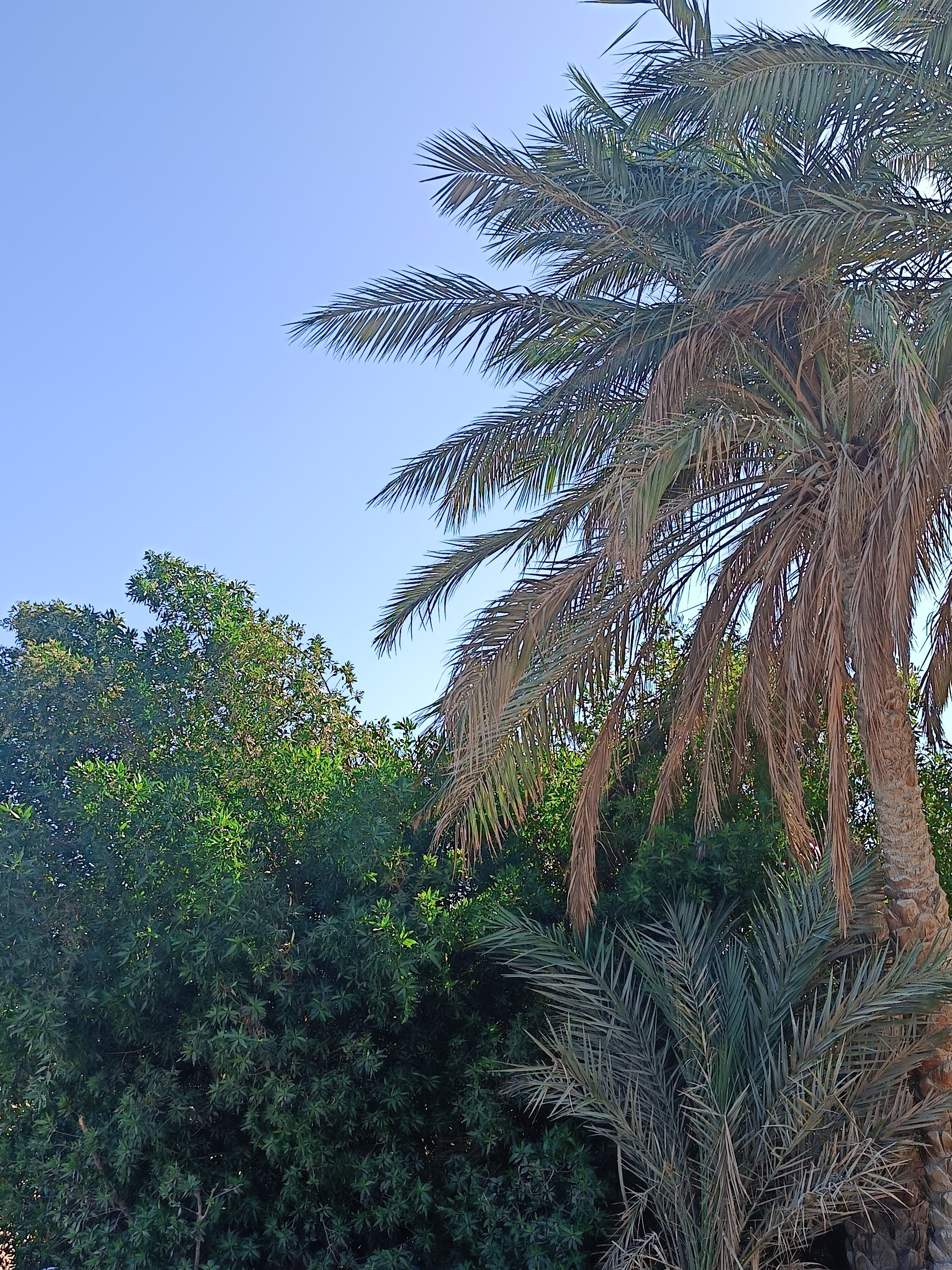 Фото La Rosa Waves Resort