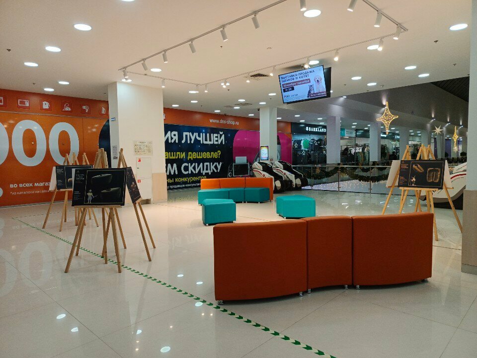 Park Lounge, Yaroslavl, photo