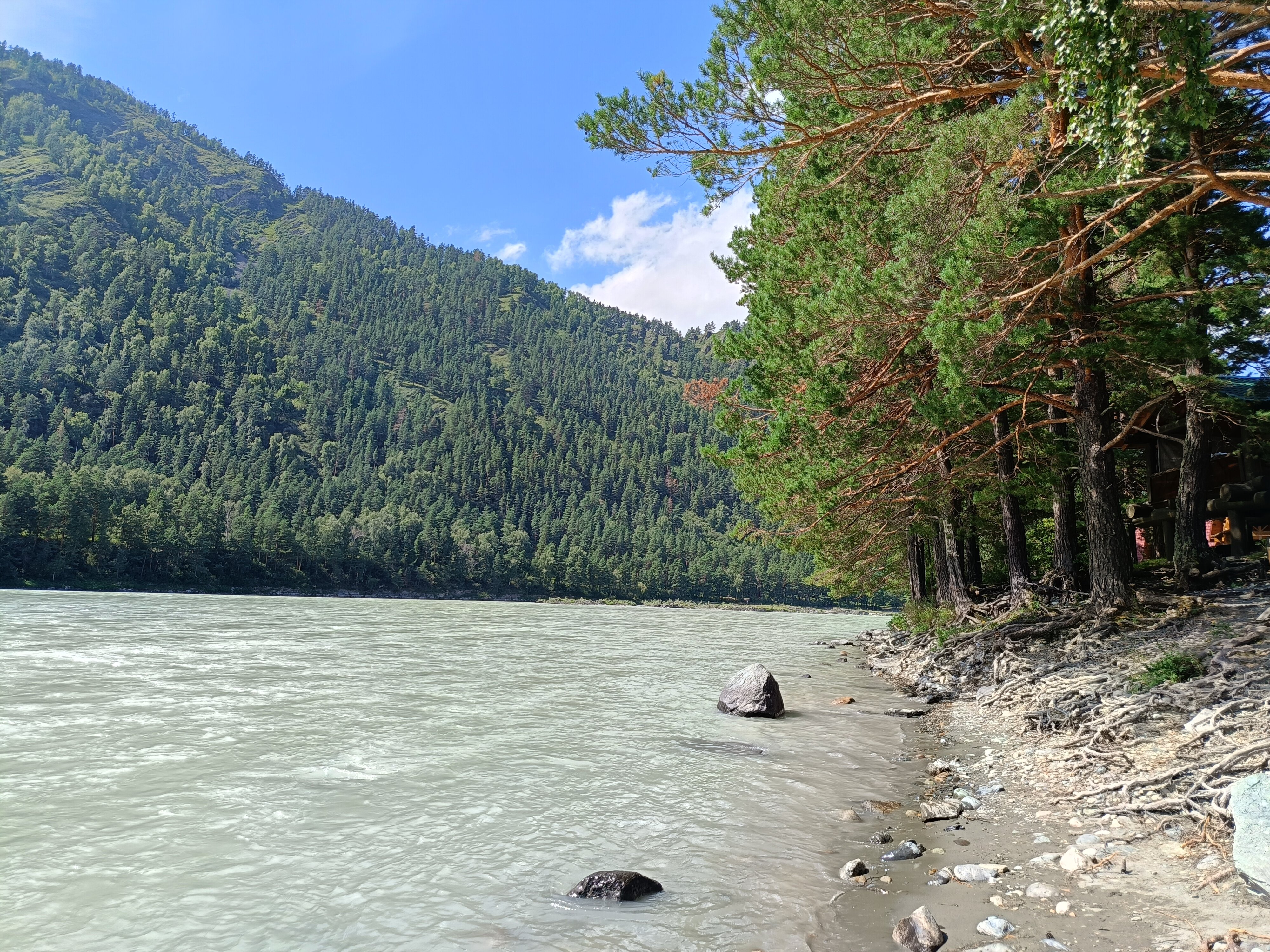 Фото Друзья