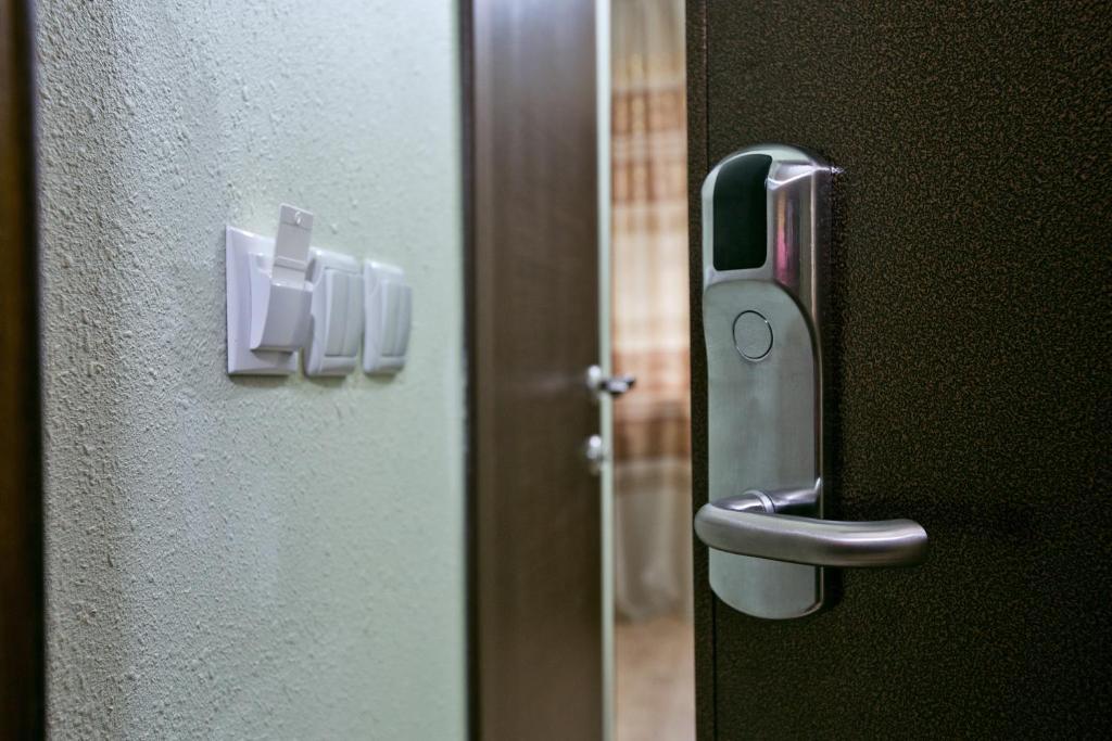 Фото Альбатрос