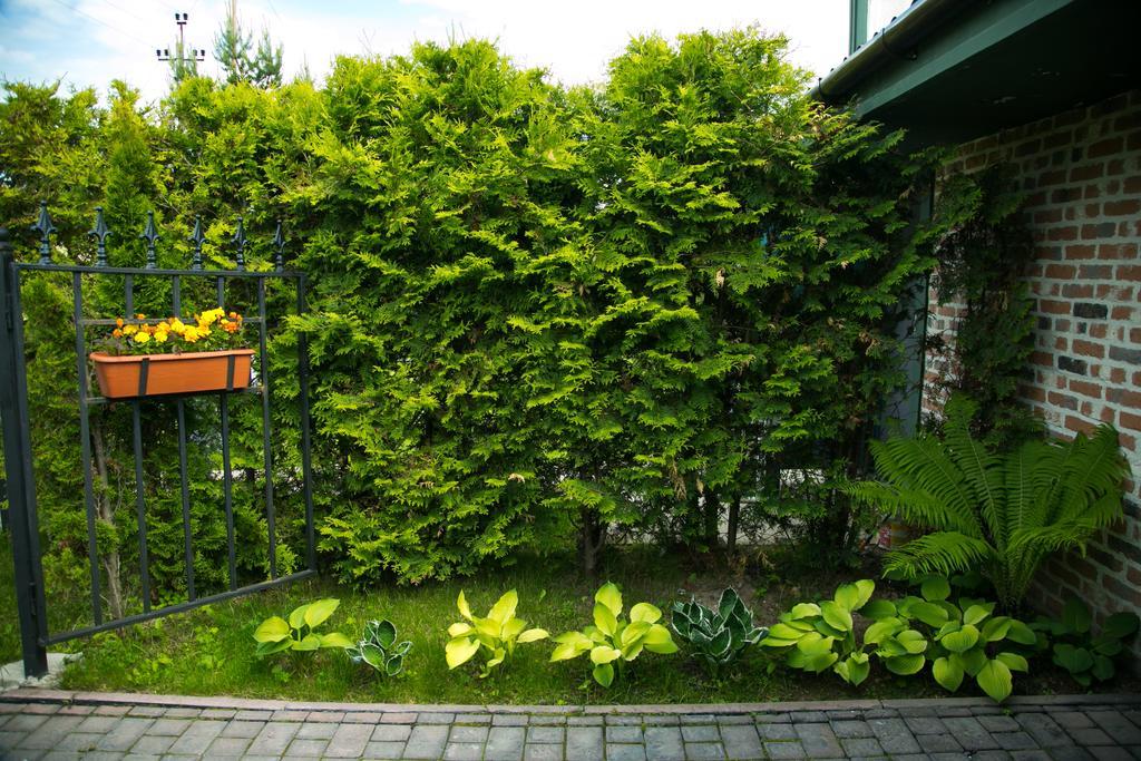 Фото Сытый Ежик