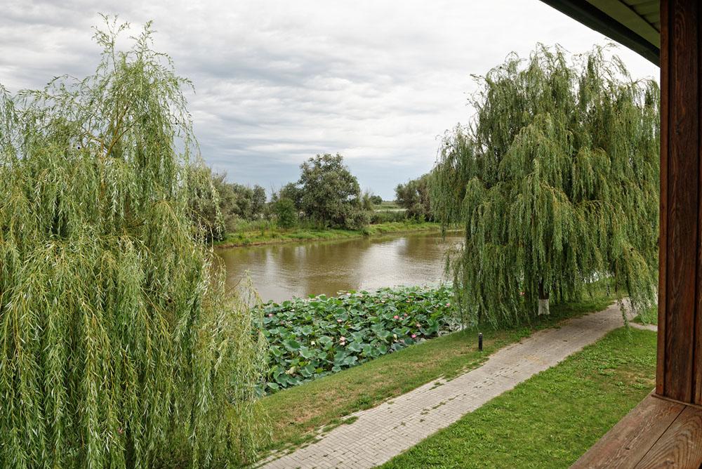 Фото Блесна