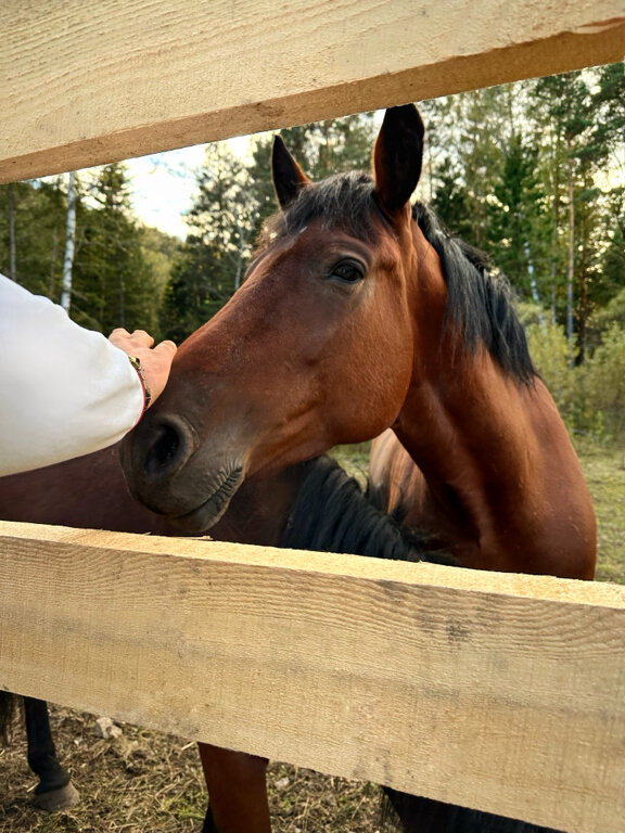 Фото Сказочка