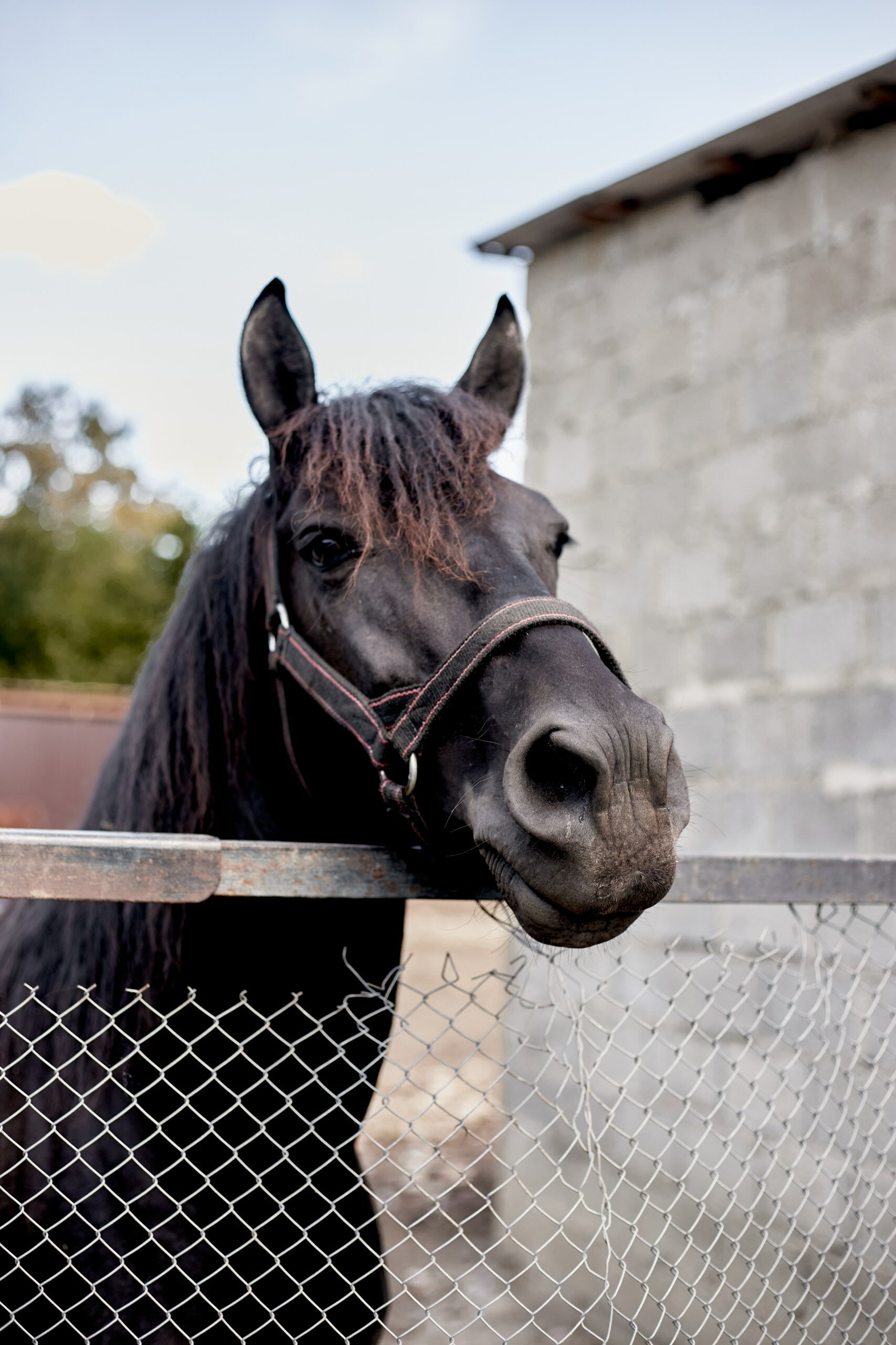 Фото Магия природы