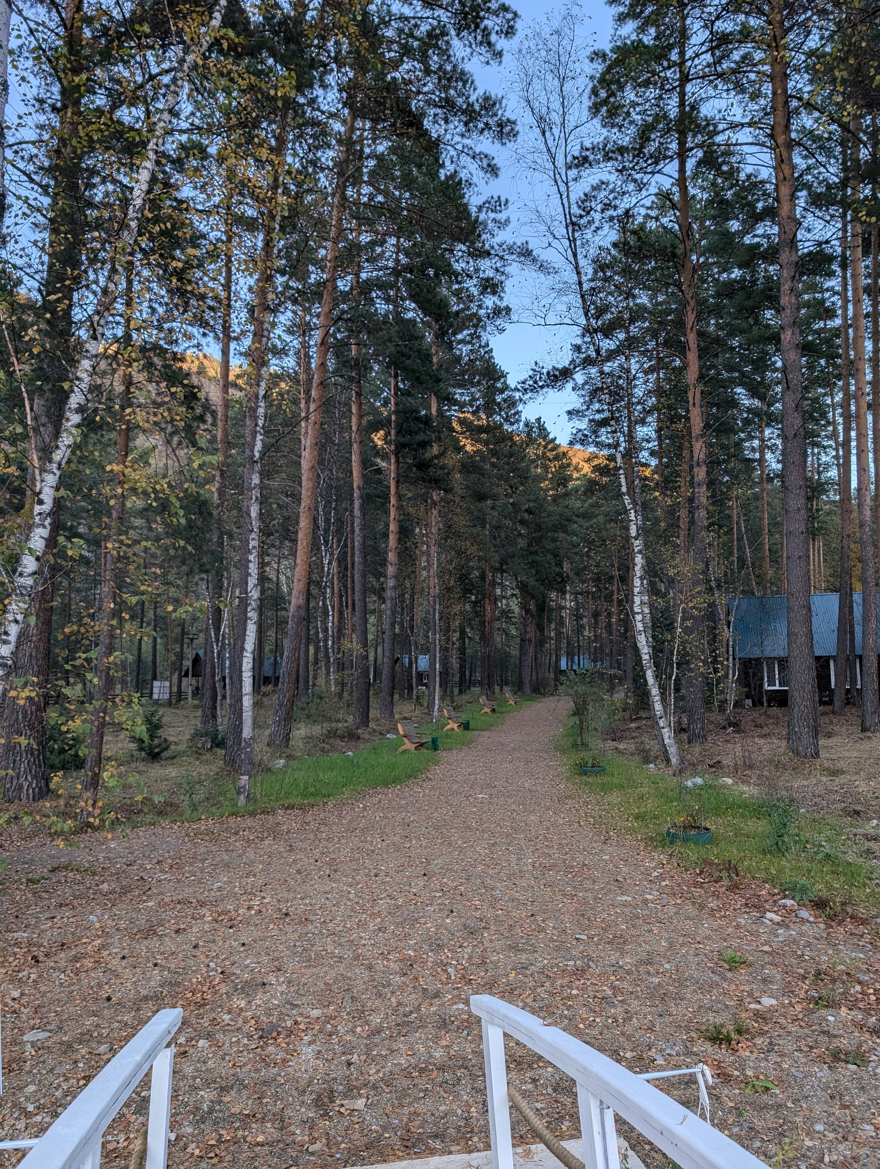 Фото Эко-парк Алтай Грин