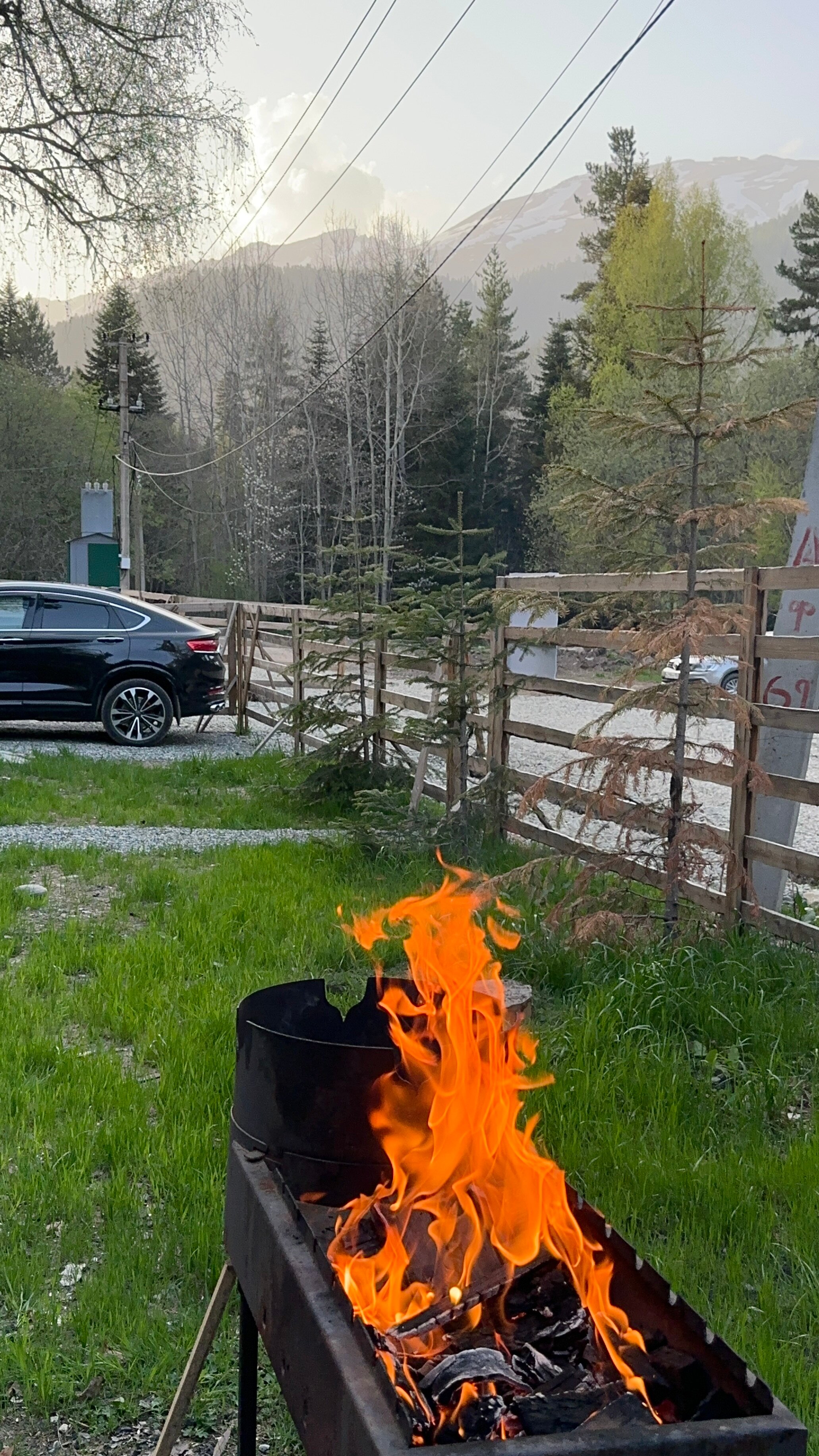 Фото Greenhouse 1599