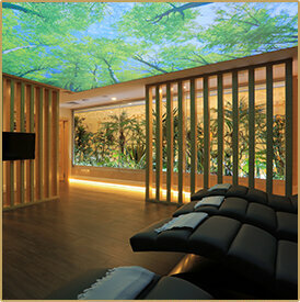 Spa Latanya Hotel Lenus Spa, Ankara, photo