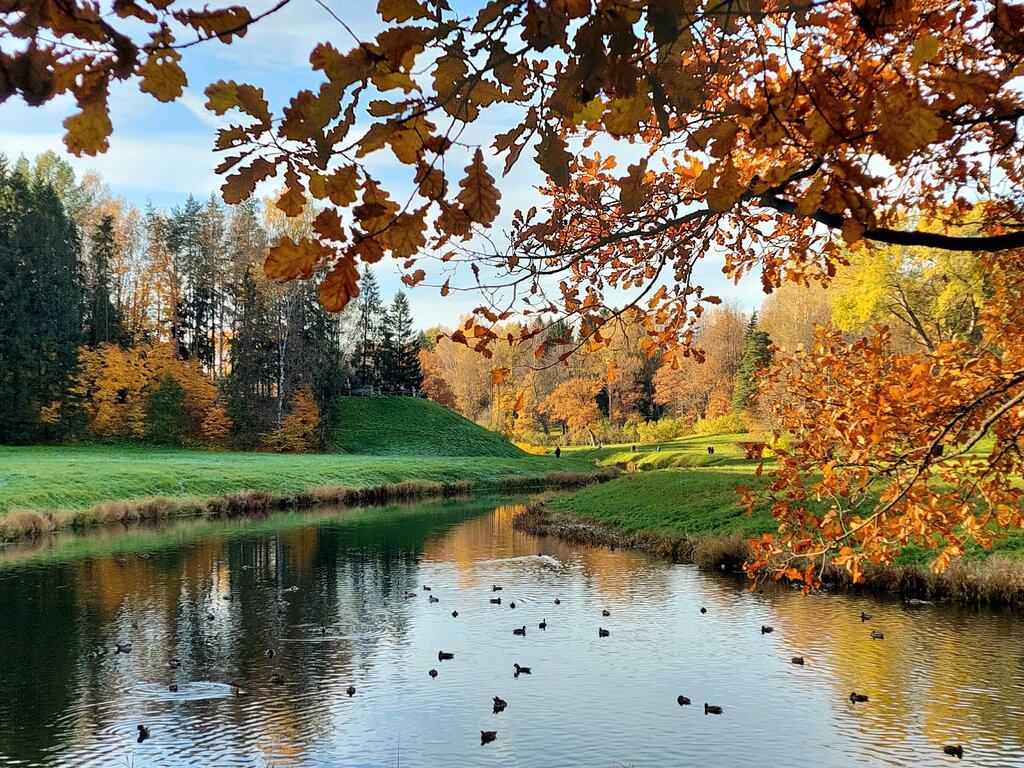 Landmark, attraction Пиль-башенный мост, Pavlovsk, photo