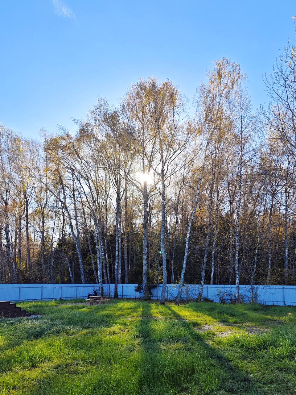 Фото На природе