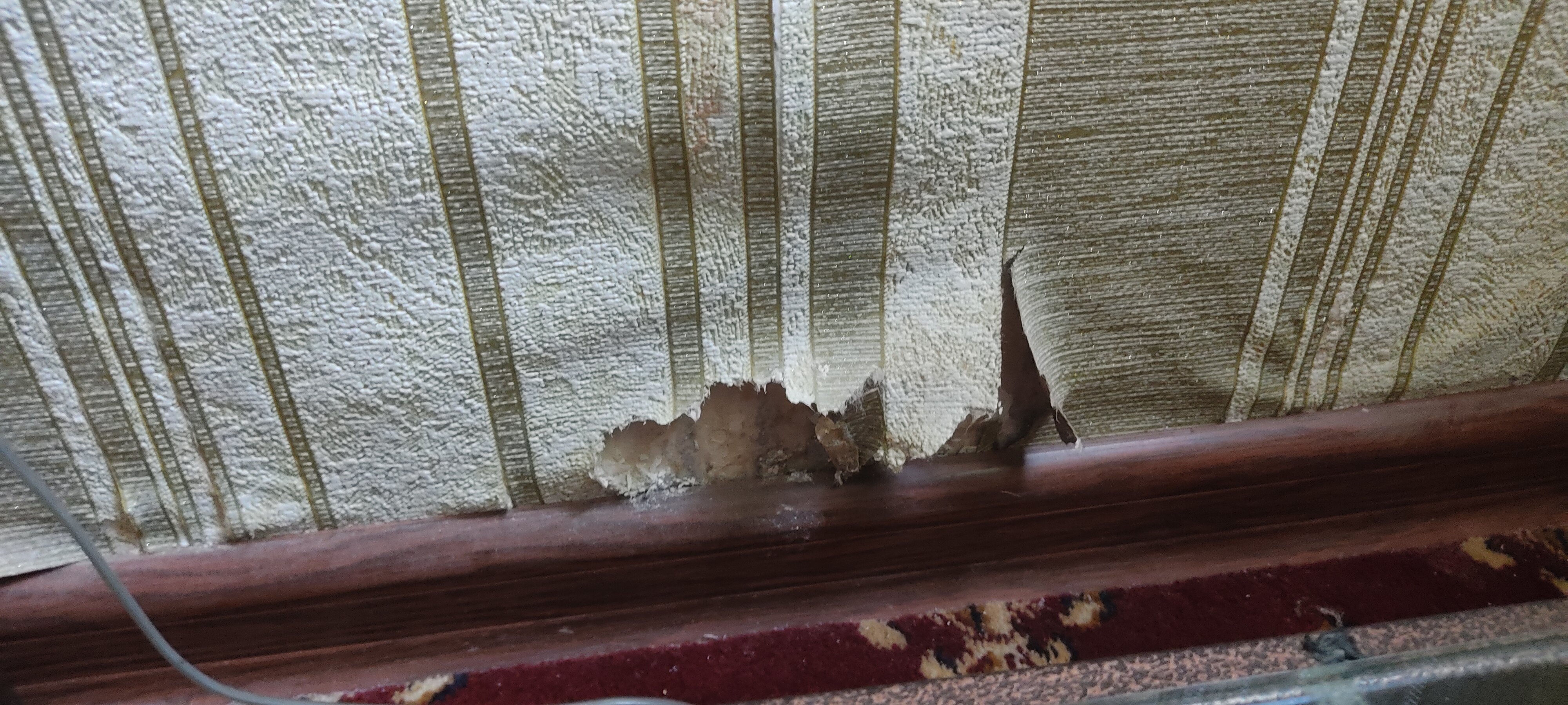 Фото Осиё гранд