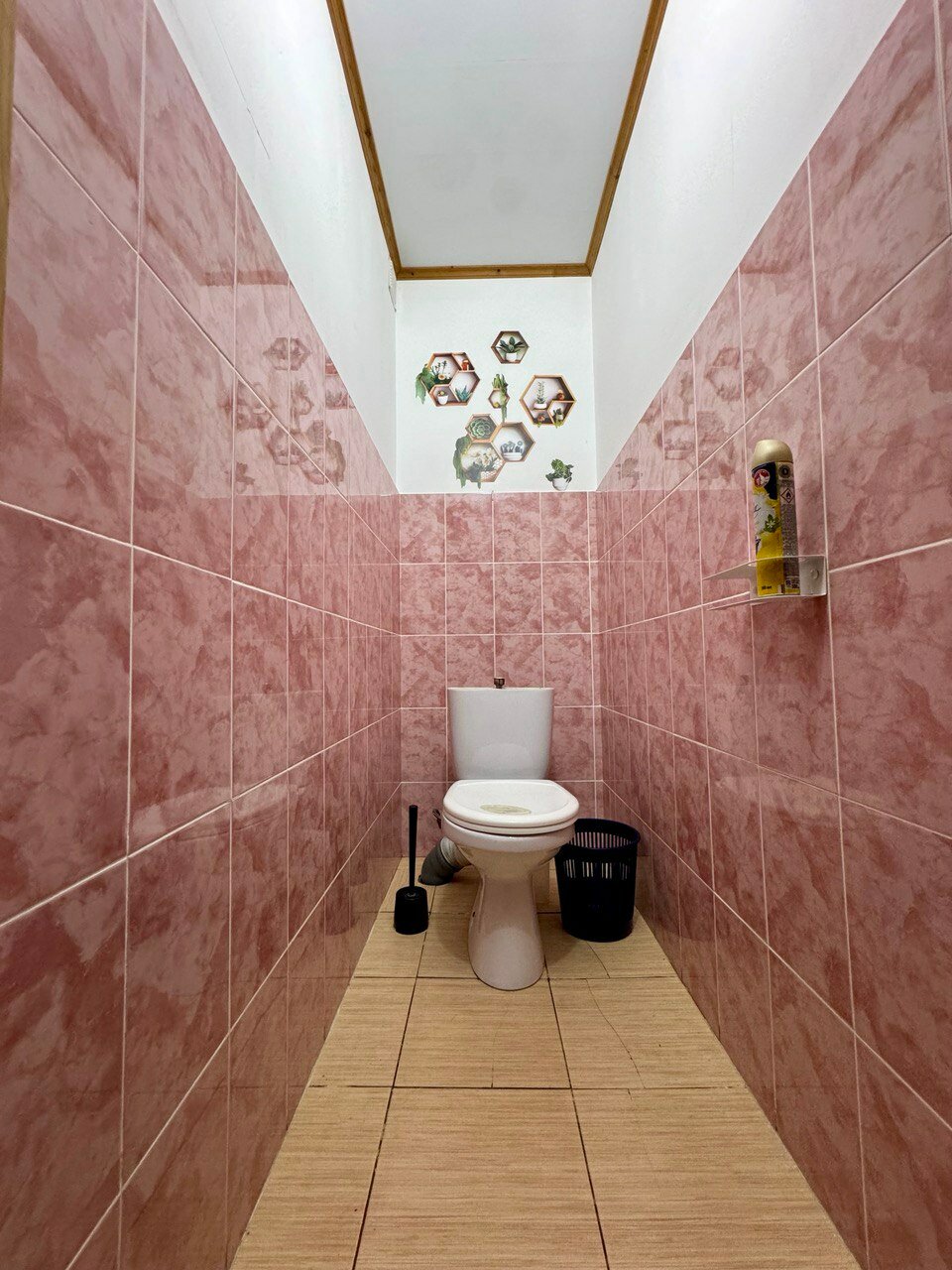 Фото Новые соседи