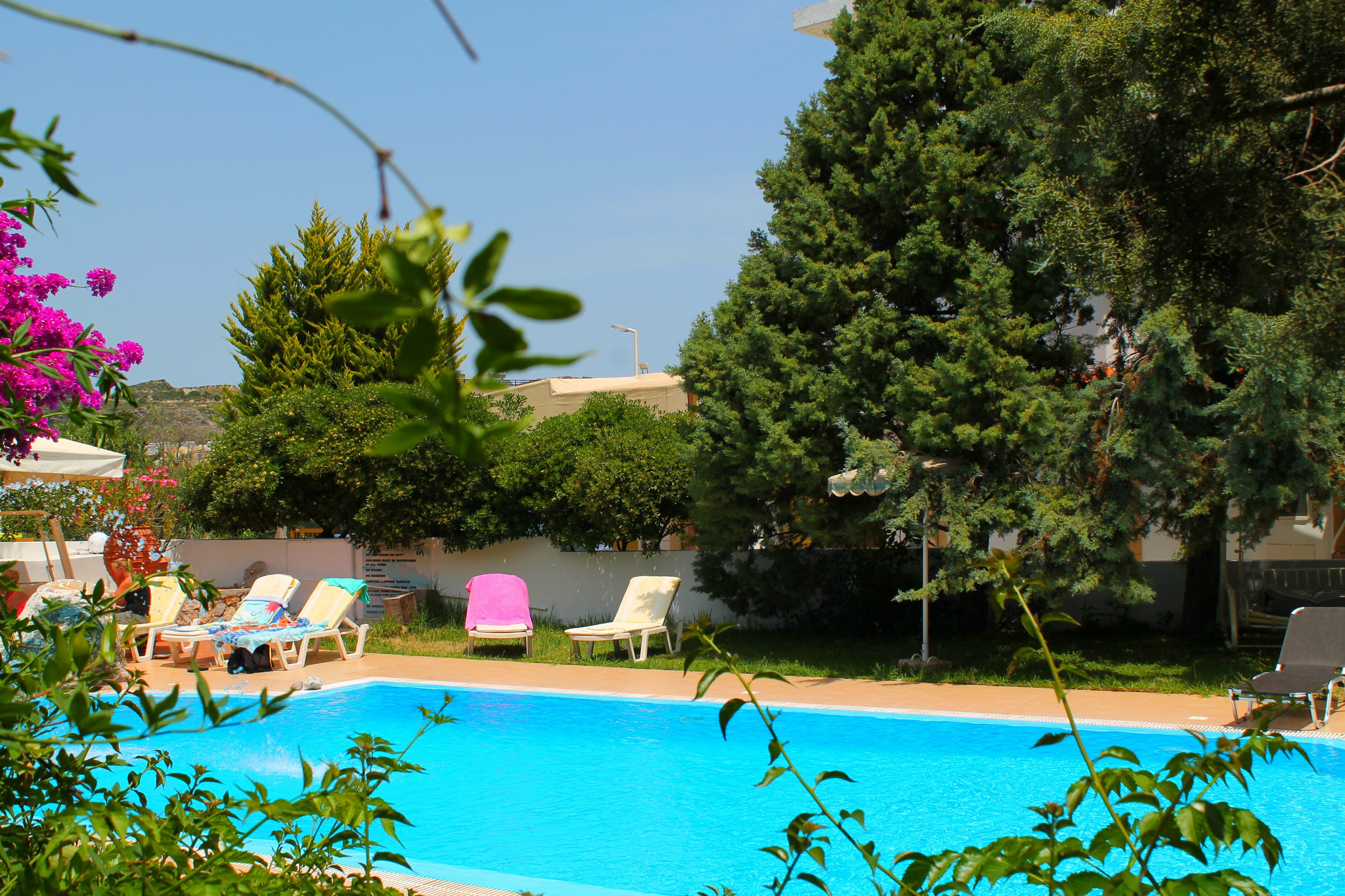 Фото Melody Studios