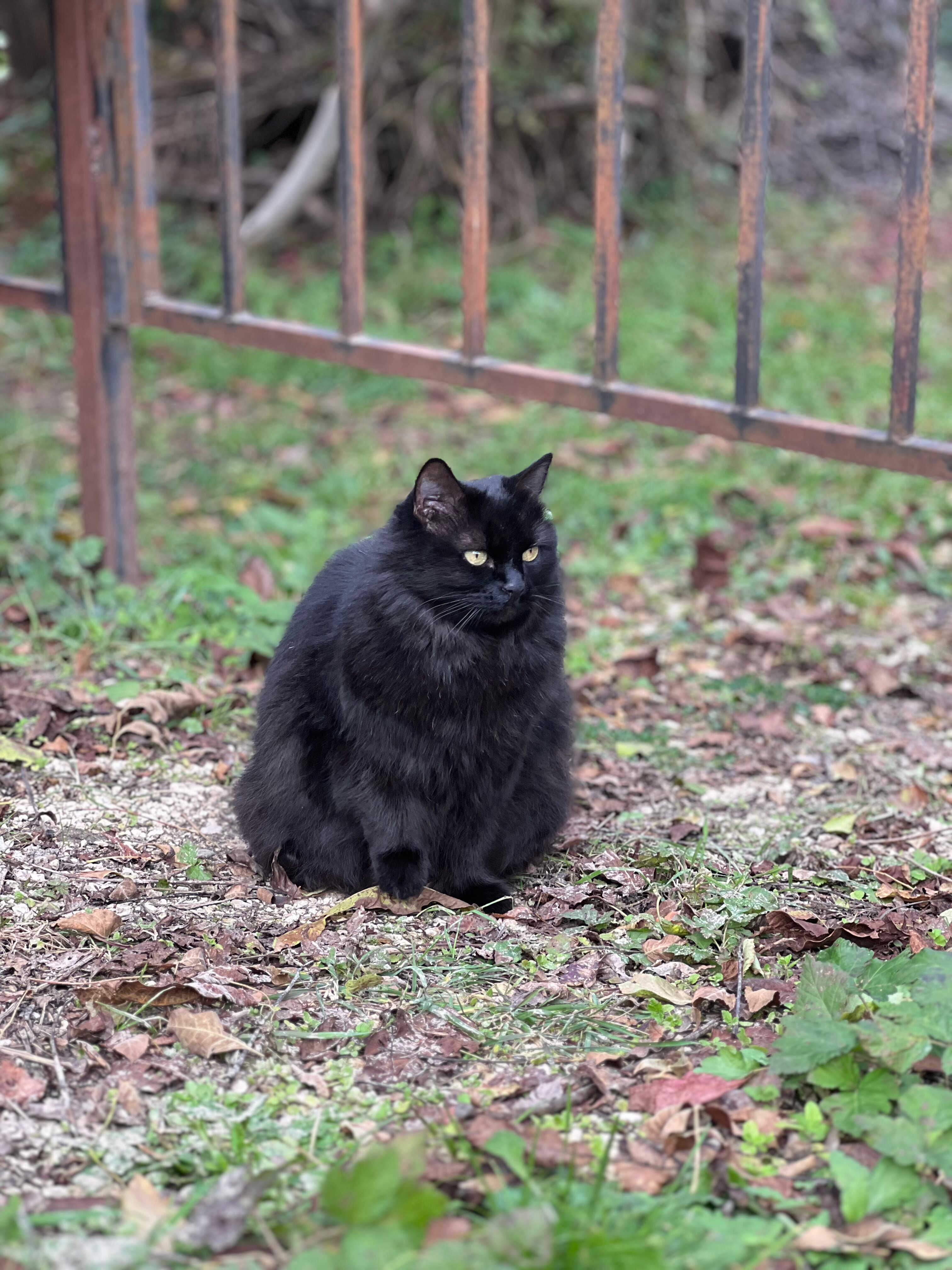 Фото У камина