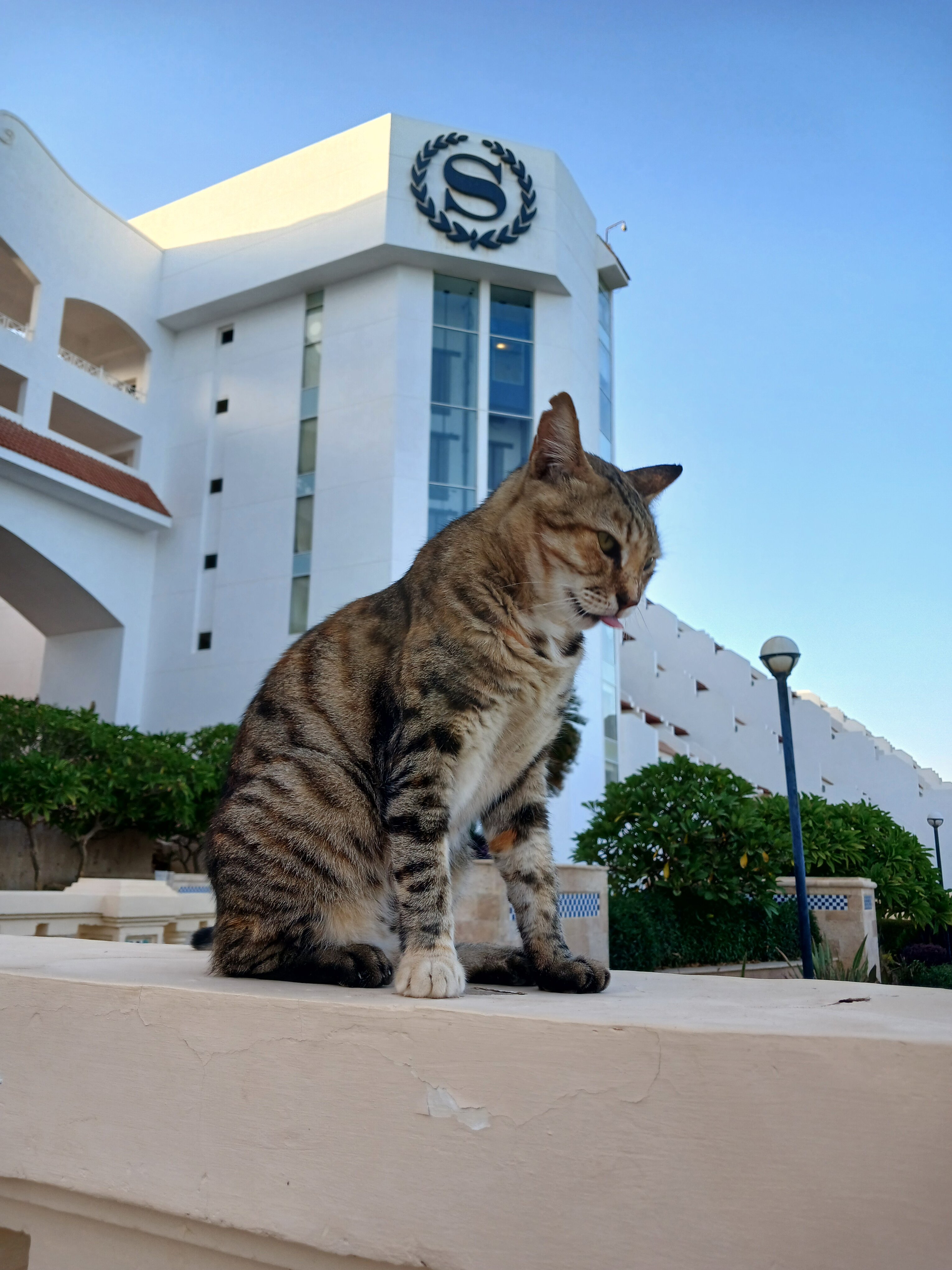 Фото Sheraton Sharm Hotel, Resort, Villas & Spa