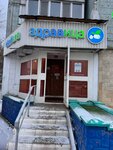 Zdravitsa (rayon imeni Kazybek bi, zhiloy rayon Yugo-Vostok, mikrorayon Orbita, 23) ، صيدلية